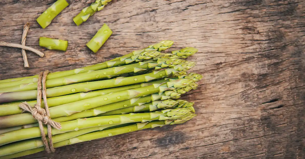 Influência das proteínas vegetais no treino de força